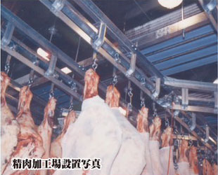 濃霧の中で蘇生中（中央卸売成果物蘇生庫）