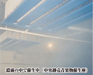 精肉加工場設置写真