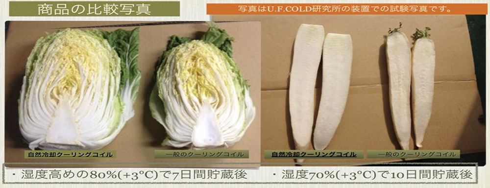 商品の比較写真